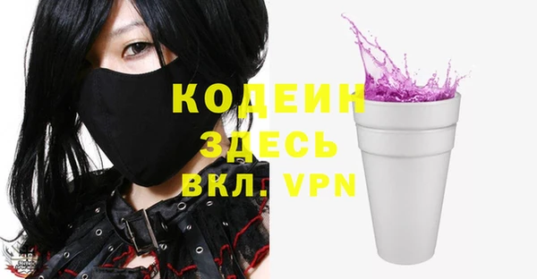 индика Каменногорск