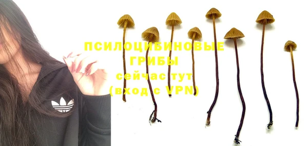 метадон Абинск
