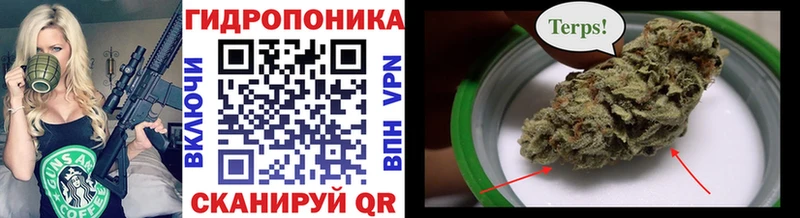 Канабис SATIVA & INDICA купить закладку Балахна